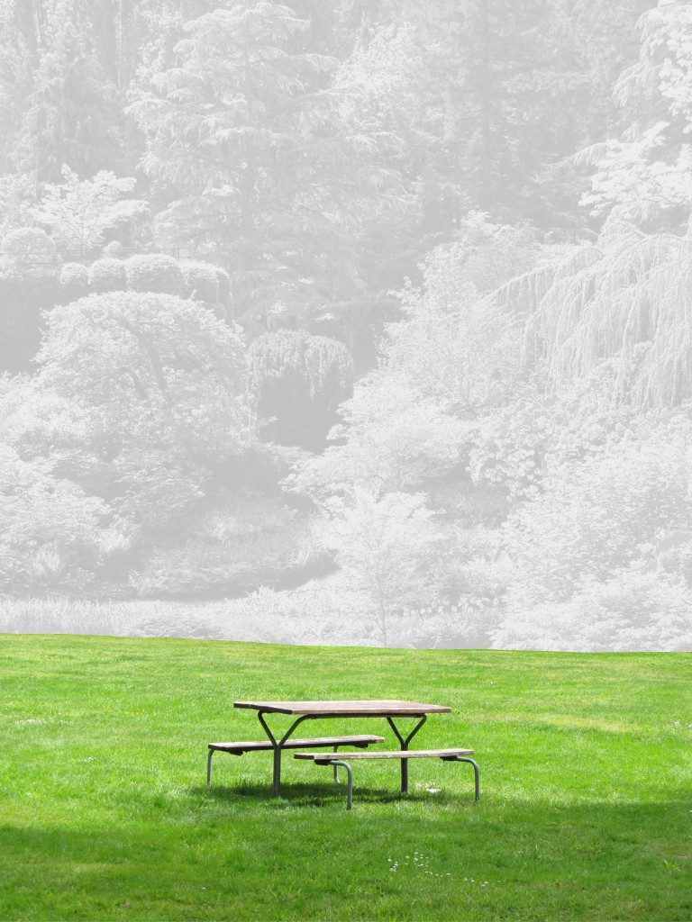 Picnic table in a green field against a pale misty forest