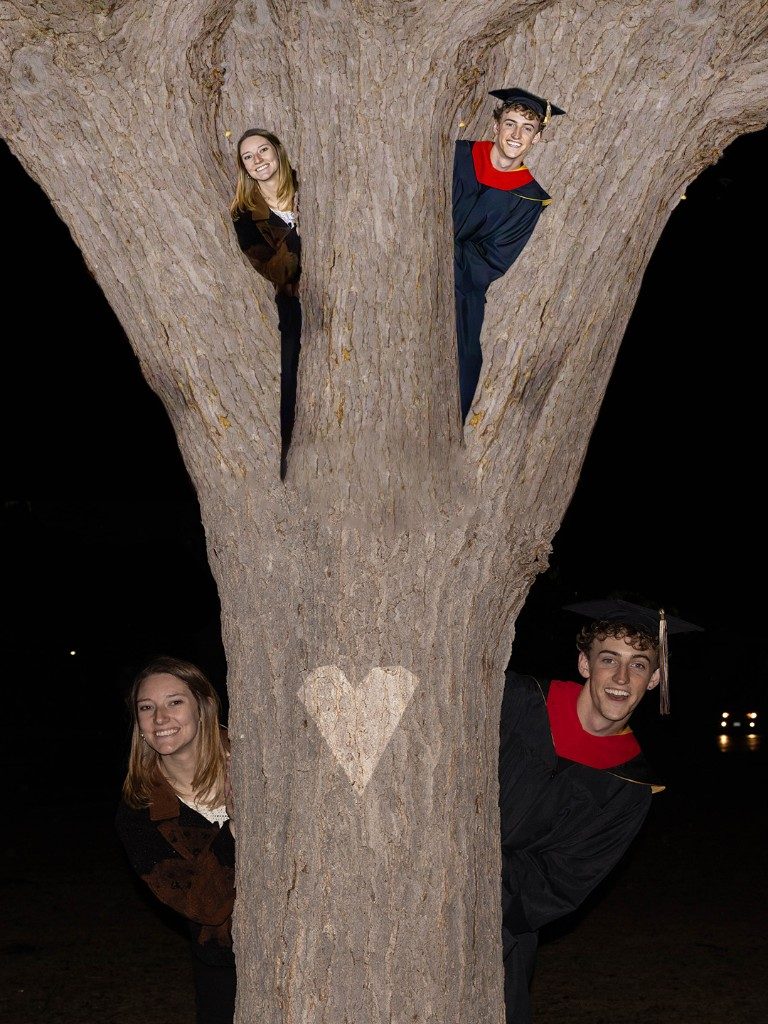 Graduates peeking from a tree trunk at night